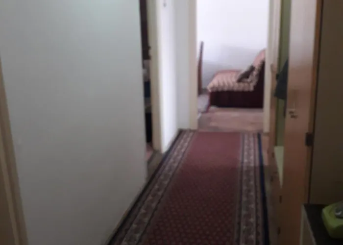 Markovic * 브라네