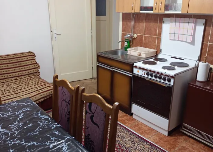 Markovic 아파트 브라네